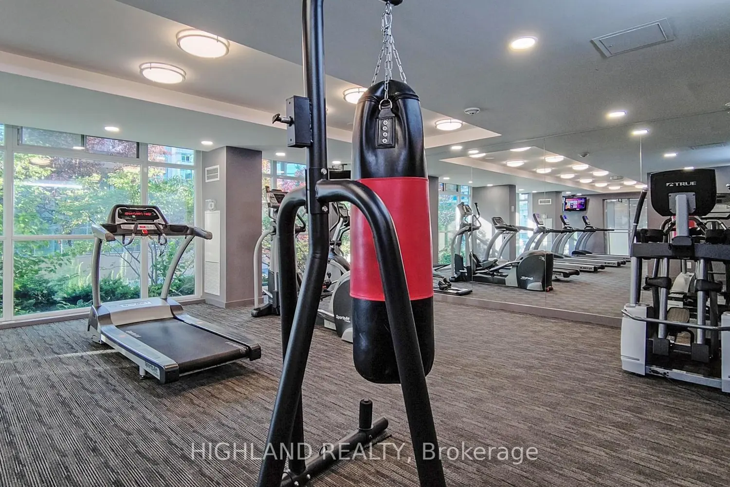 Additional image 13 of 223 Webb Drive 3105