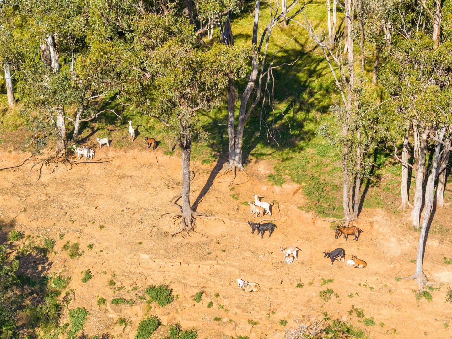 Additional image 18 of 145 Quirkes Lane, Menangle NSW 2568