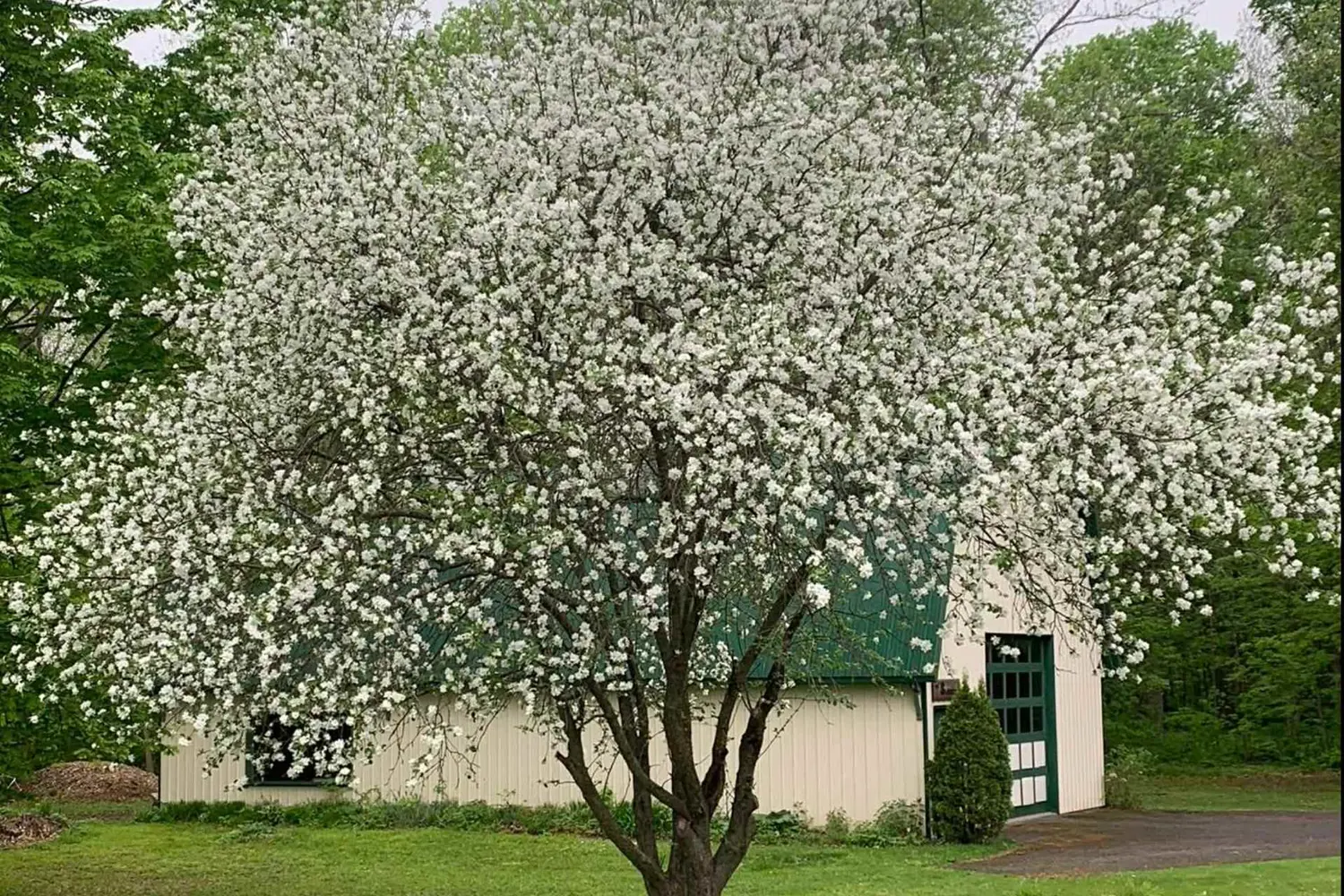 Additional image 16 of 3066 Goldfield Road