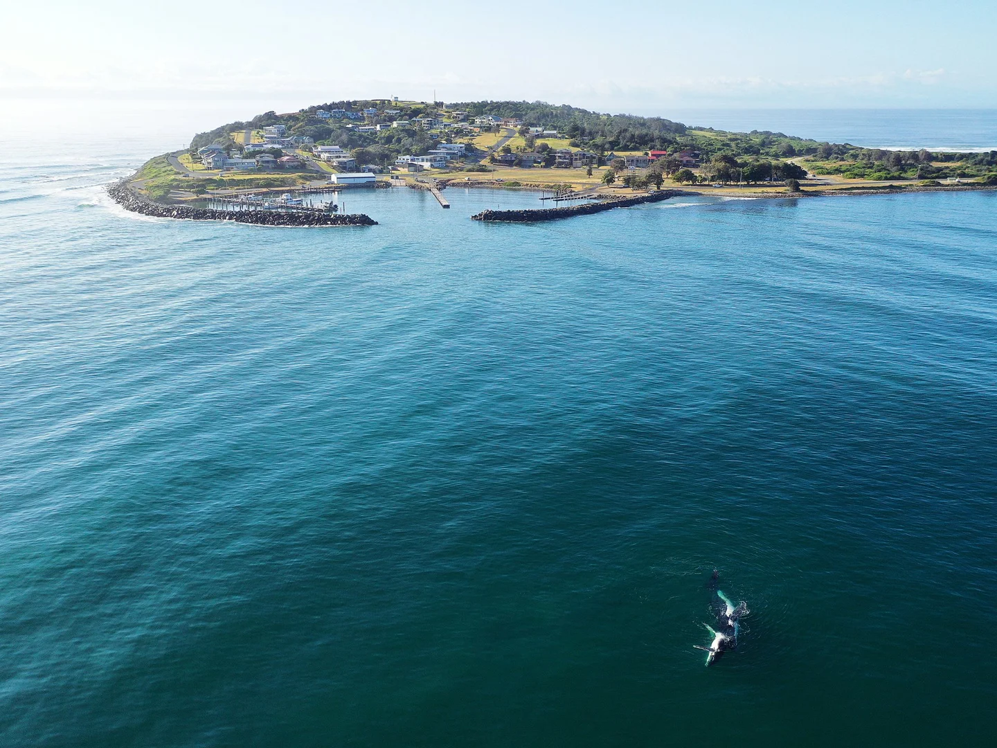 Additional image 11 of 7a Geoffrey Street, Crowdy Head NSW 2427