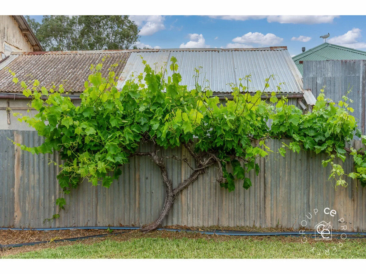 Additional image 21 of 17 Murray Terrace, Cowirra SA 5238