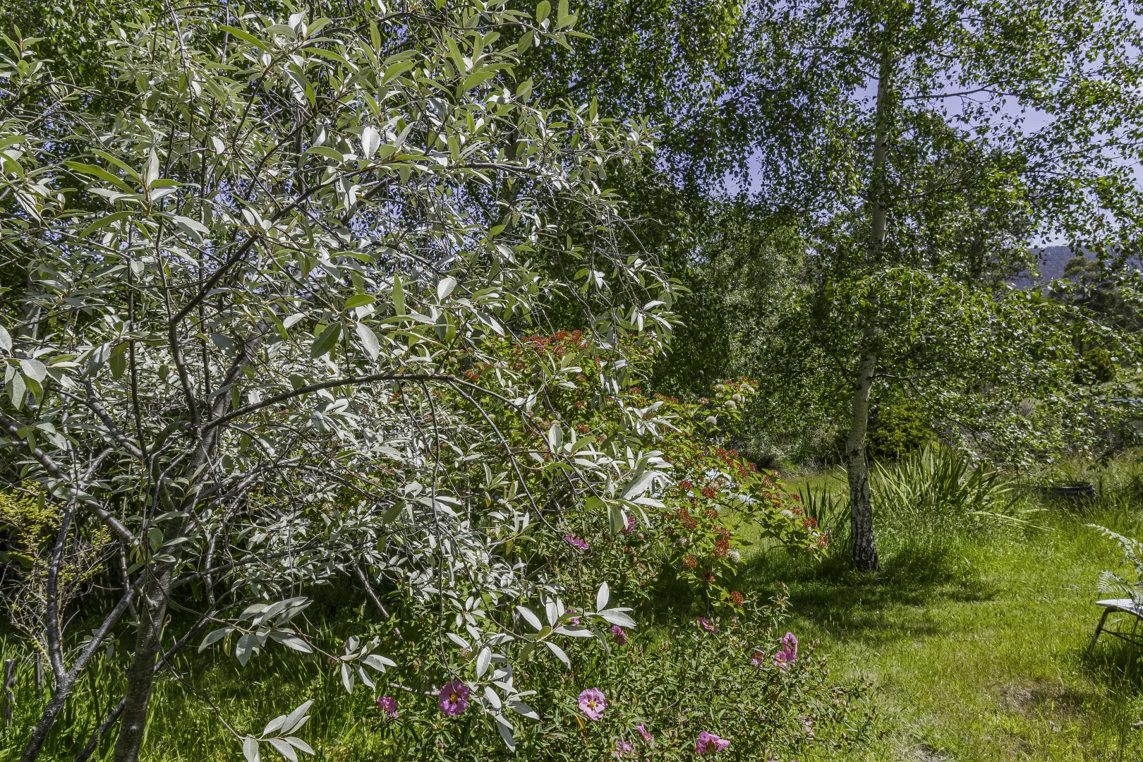 Additional image 56 of 242 Woolleys Road, Lonnavale TAS 7109