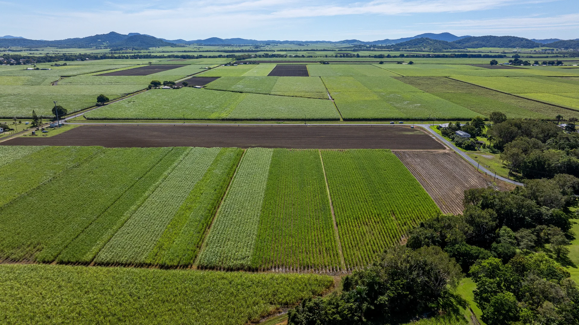 Additional image 6 of McColl Street, Walkerston QLD 4751