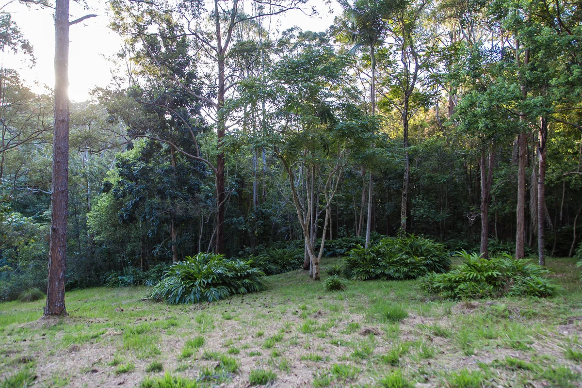 Additional image 18 of 29-31 Crescent Road, Eumundi QLD 4562