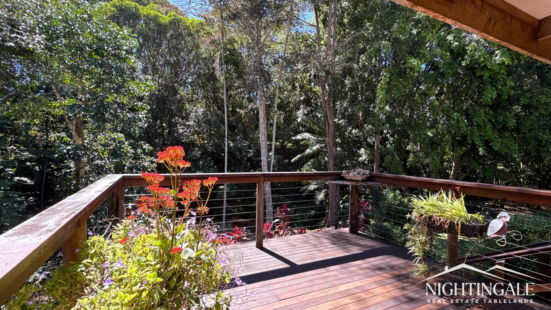 Additional image 25 of Lake Eacham QLD 4884