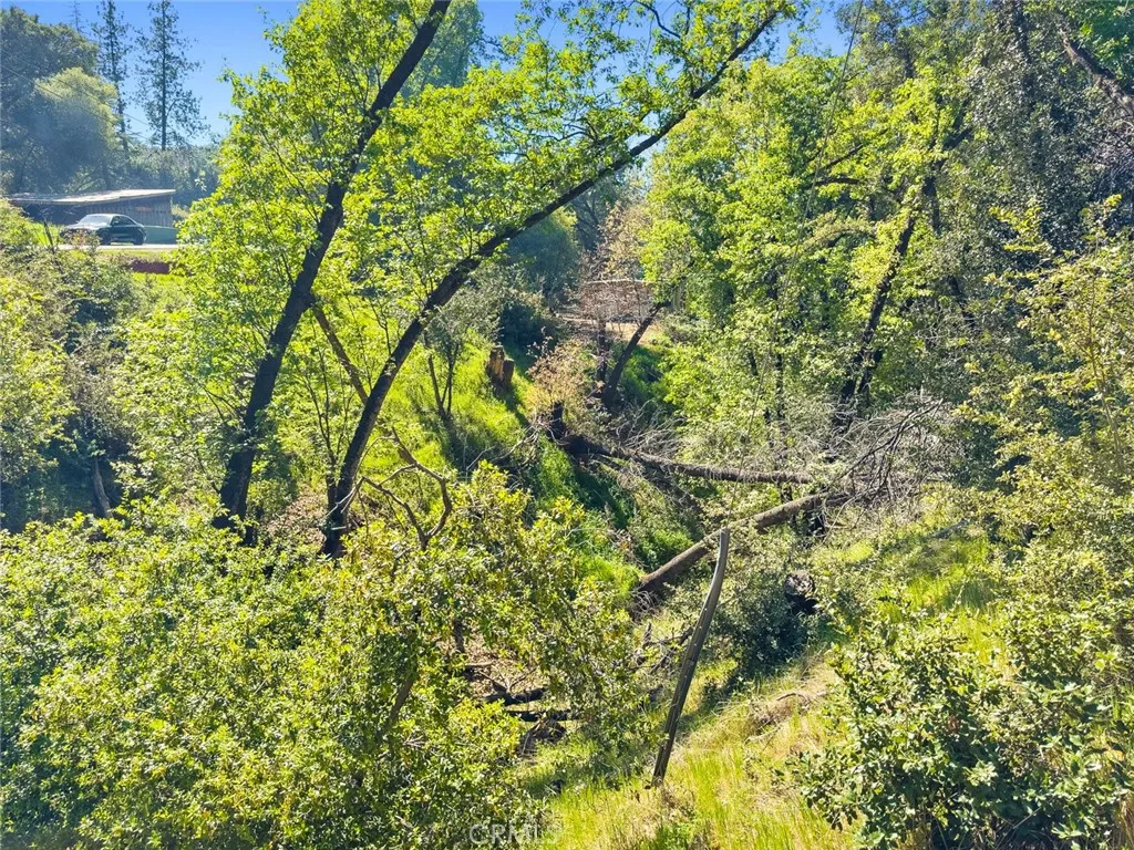 Additional image 84 of 22666 Lower Quail Mine Road, Sonora, CA 95370