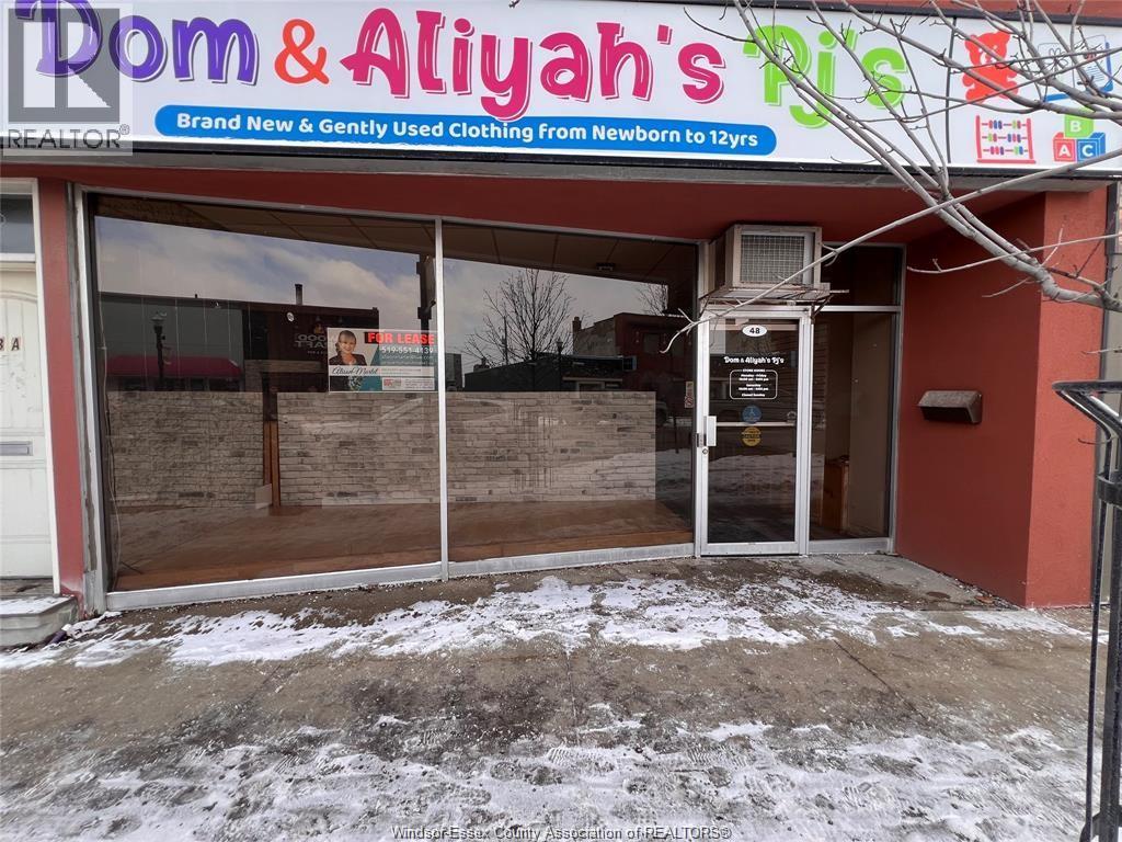 Additional image 3 of LOWER-48 Talbot Street North, Essex, ON, N8M1A3
