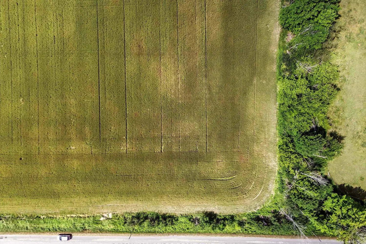 Additional image 11 of 0 Scugog Line 4