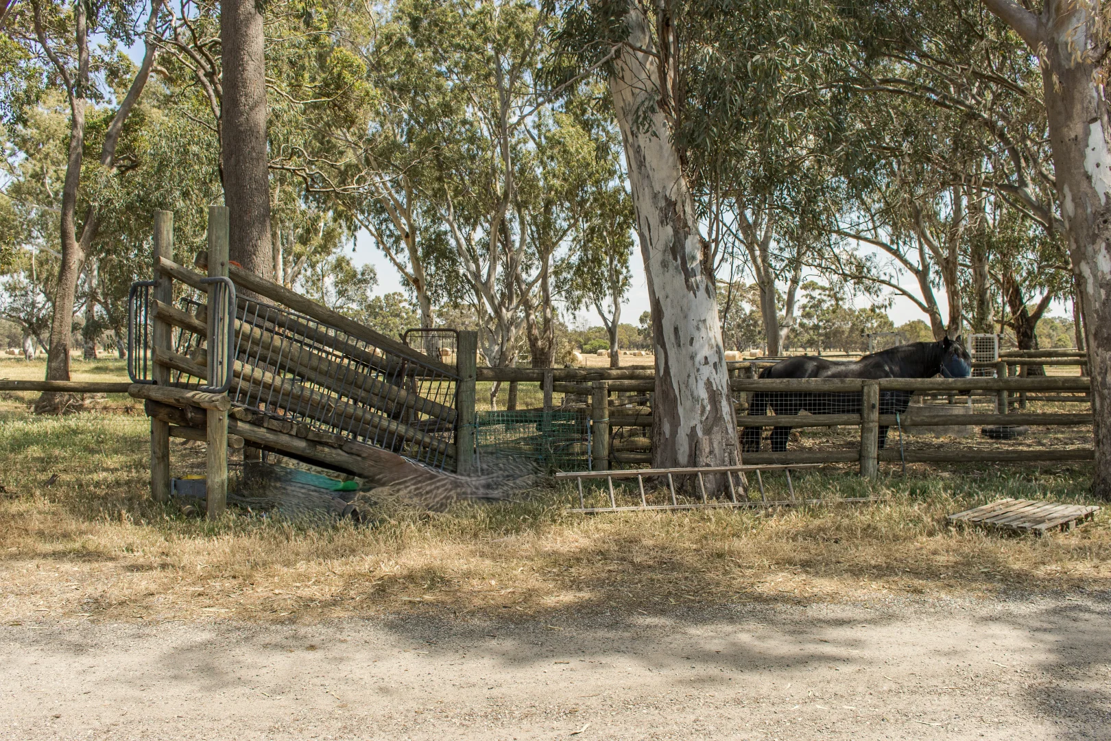 Additional image 28 of 156 Feast Road, Mardella WA 6125