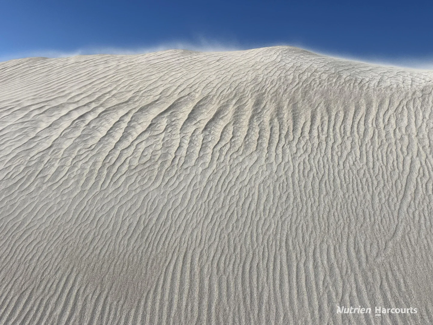 Additional image 5 of . Bootoo Street, Lancelin WA 6044