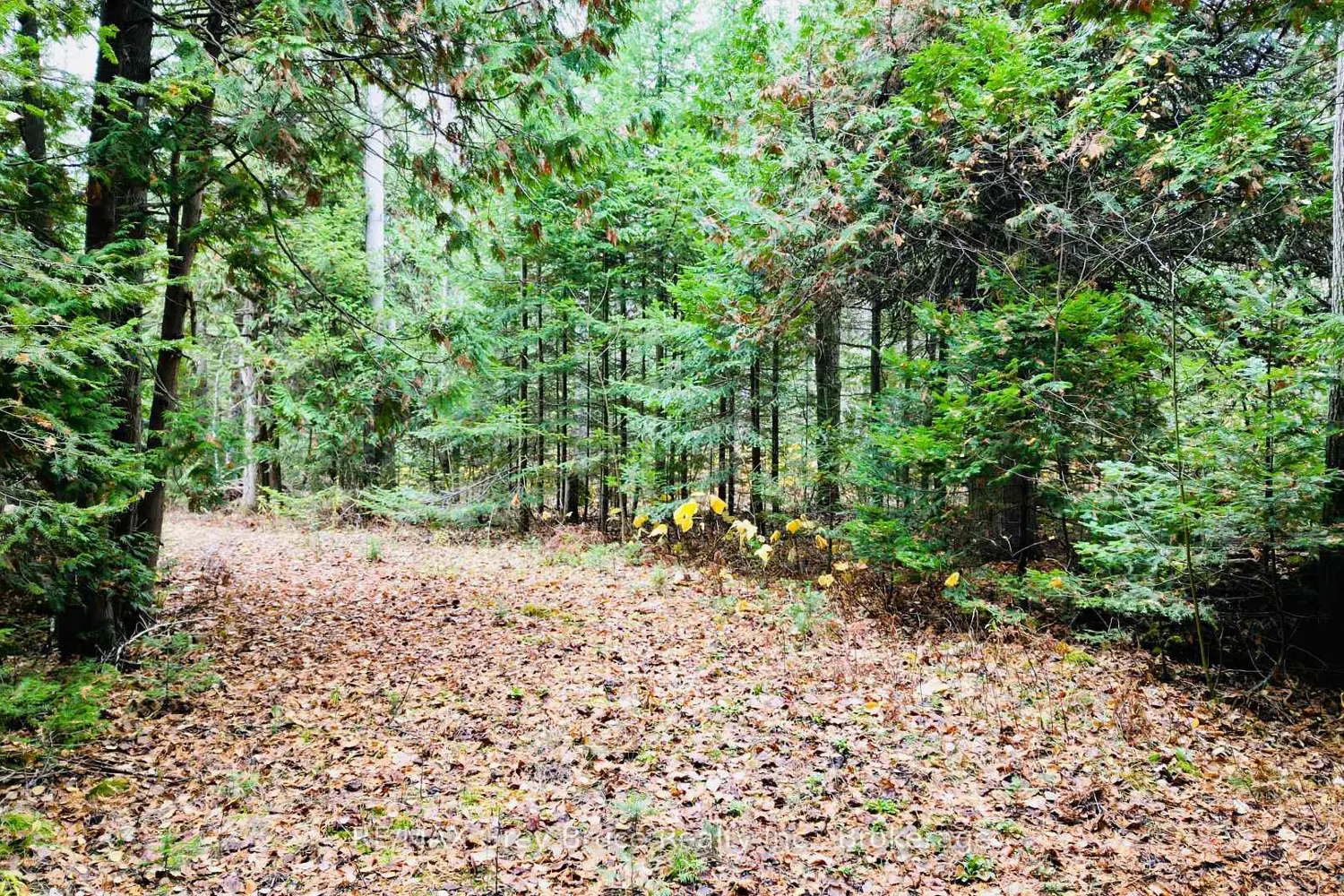 Additional image 19 of 44 Stokes Bay Road