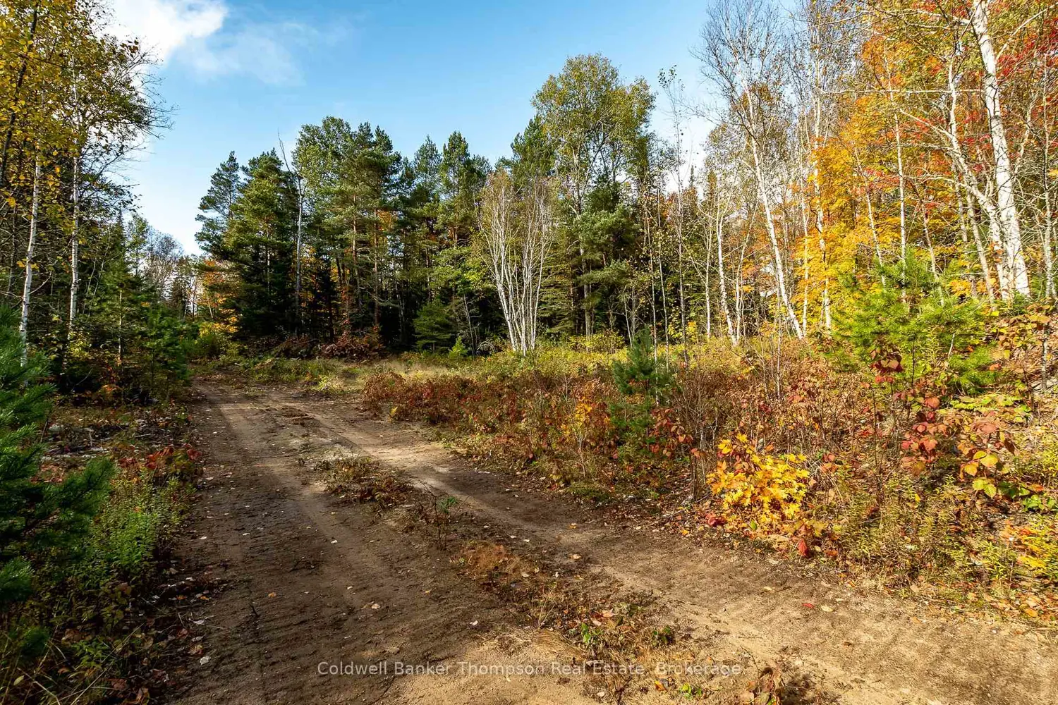 Additional image 10 of Lot 1 Emsdale Lake Road