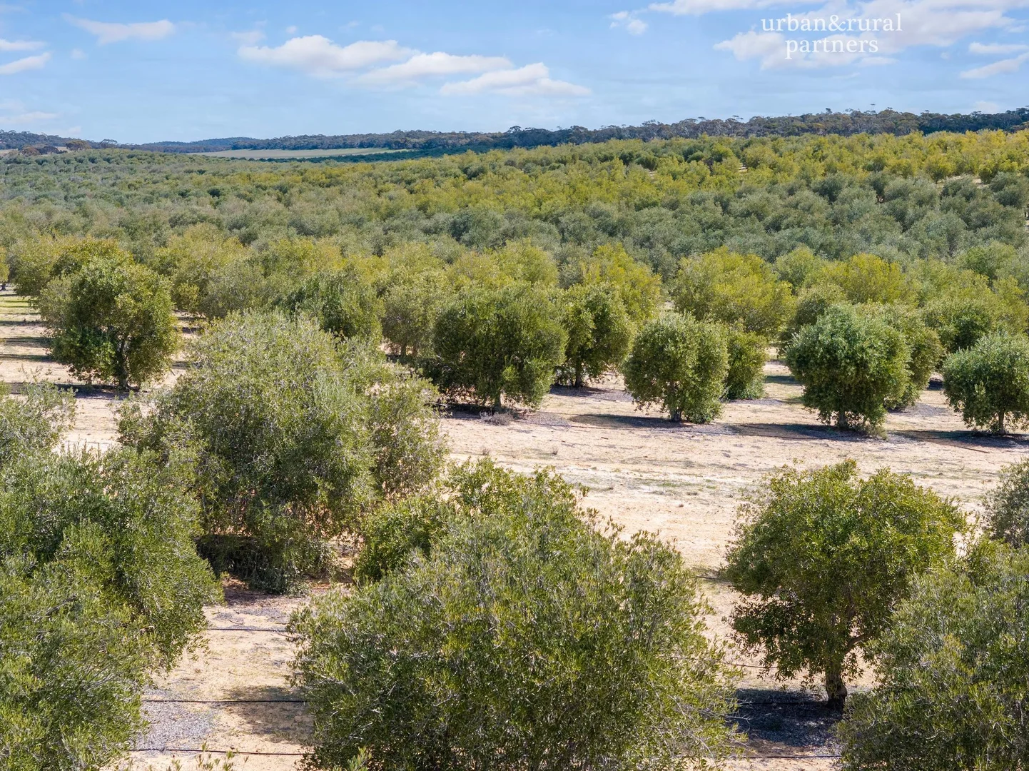 Additional image 11 of 1575 Kringin Road, Karte SA 5304