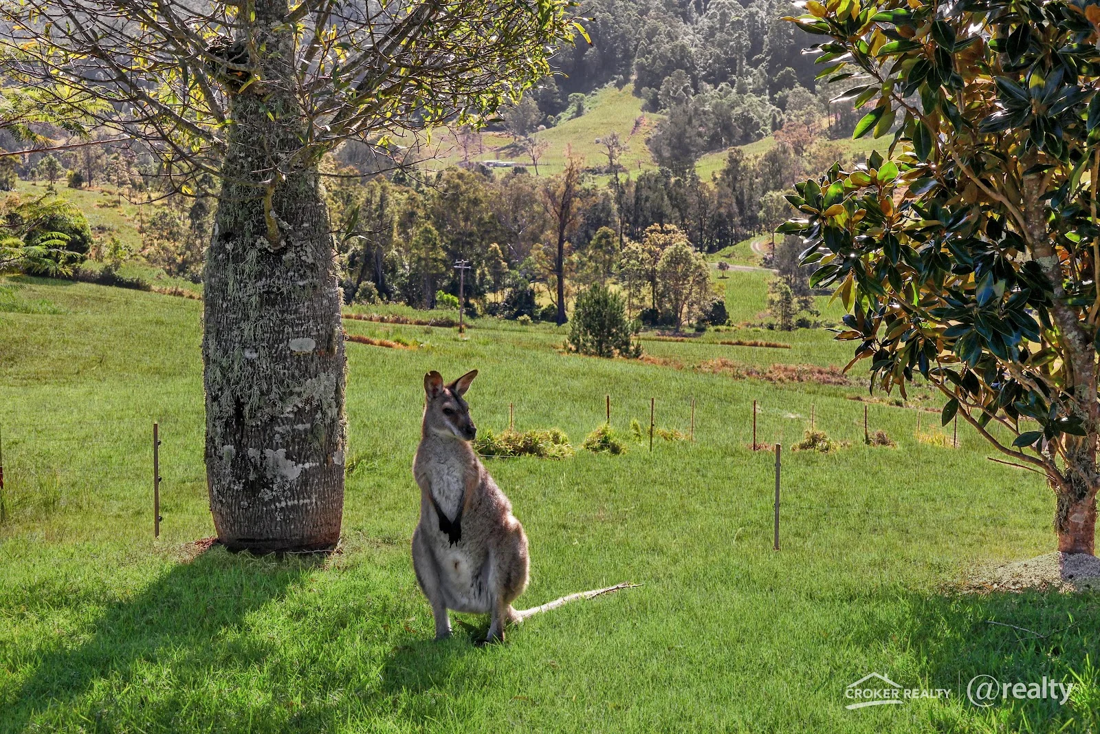 Additional image 5 of 473 Smiths Creek Road, Smiths Creek NSW 2474