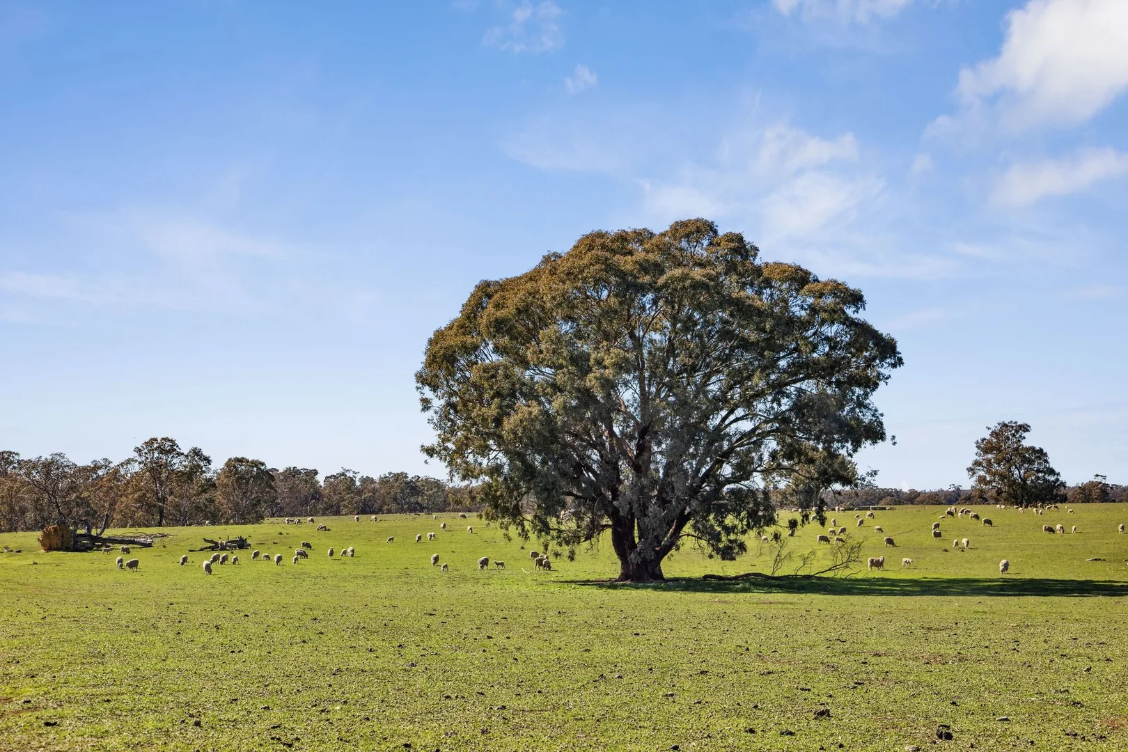 Additional image 18 of "Cairn Hill" Cnr Patons & Doles Road, Kimbolton VIC 3551