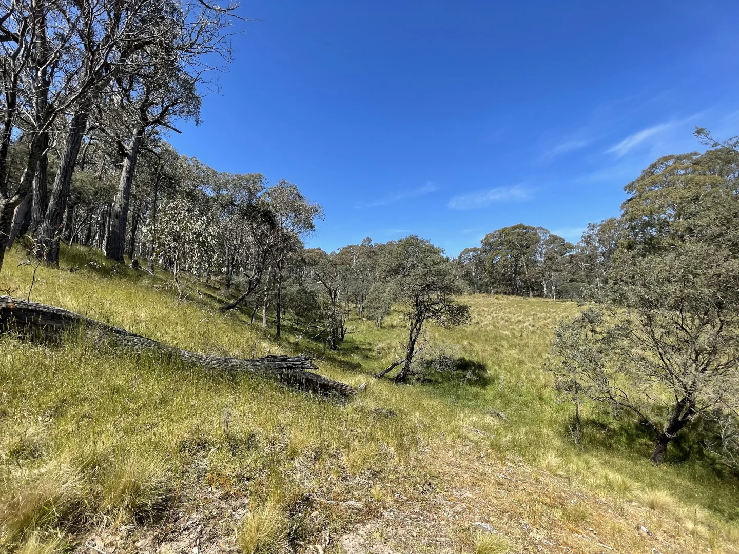 Additional image 11 of 925 Marked Tree Road, Gundaroo NSW 2620