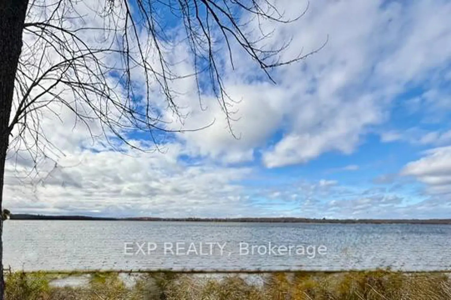 Additional image 13 of 6222 Bluebird Street