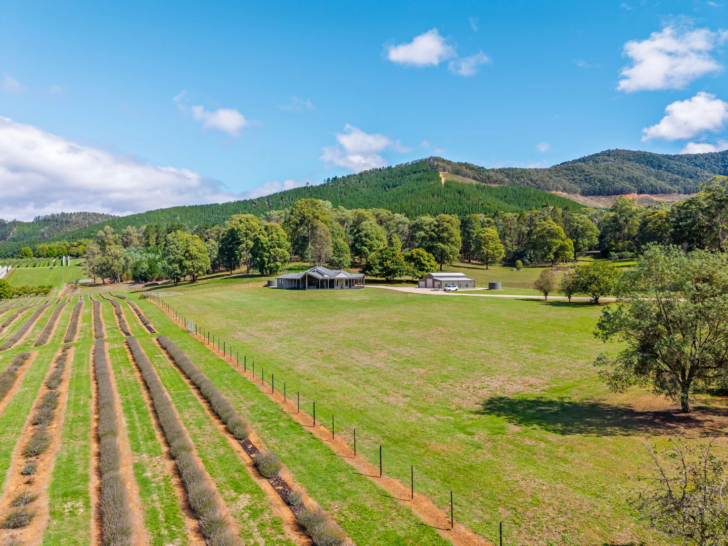 Additional image 28 of 67 Jagoes Gully Road, Wandiligong VIC 3744