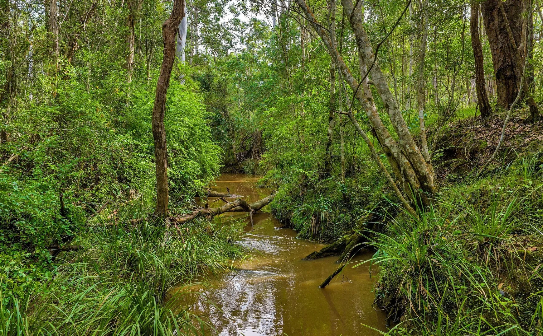 Additional image 9 of Lot L984 Arborfourteen Road, Glenwood QLD 4570