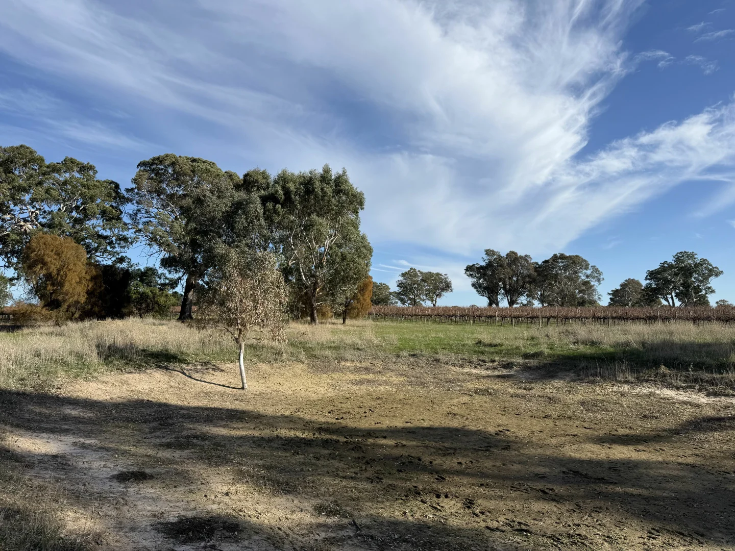 Additional image 13 of Lot 104 Dergholm Road, Penola SA 5277