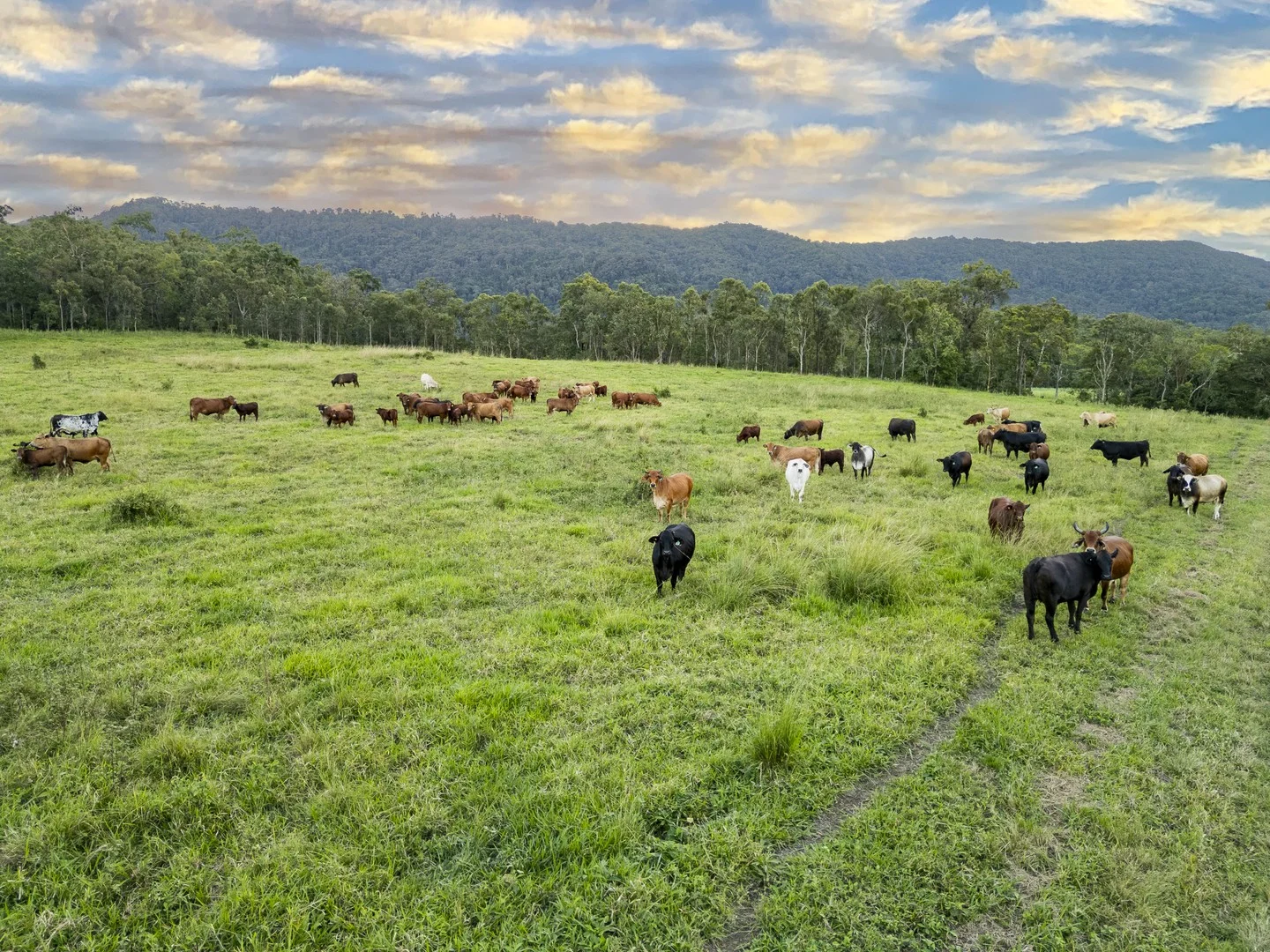 24 Petersen Road, Koumala QLD 4738