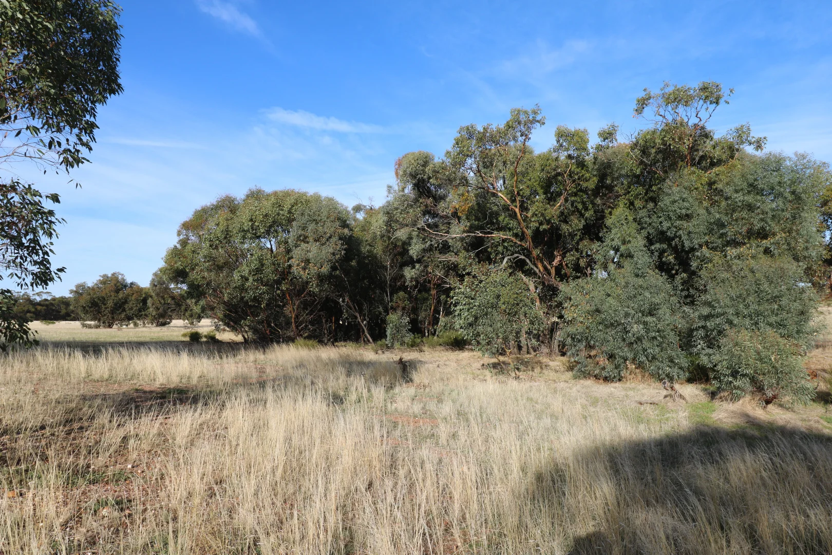 Additional image 25 of 84A Woolshed Flat Road, Wychitella VIC 3525