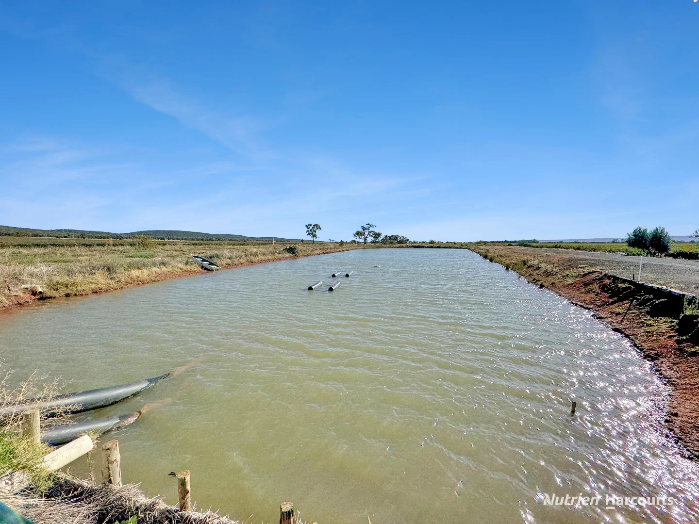 Additional image 10 of 1631 Rankins Springs Road, Myall Park NSW 2681