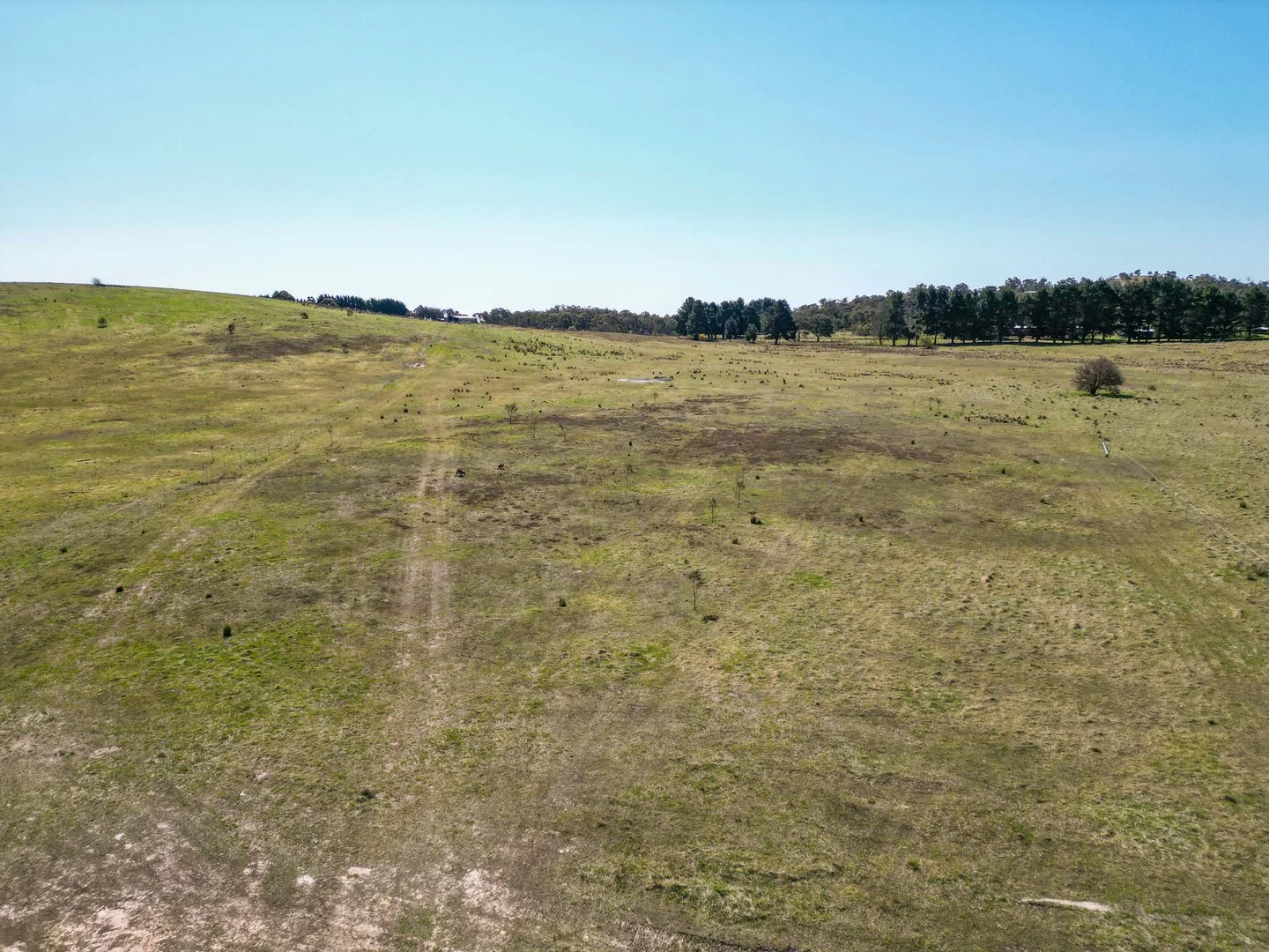 Additional image 8 of 539 Wirreanda Road, Wamboin NSW 2620