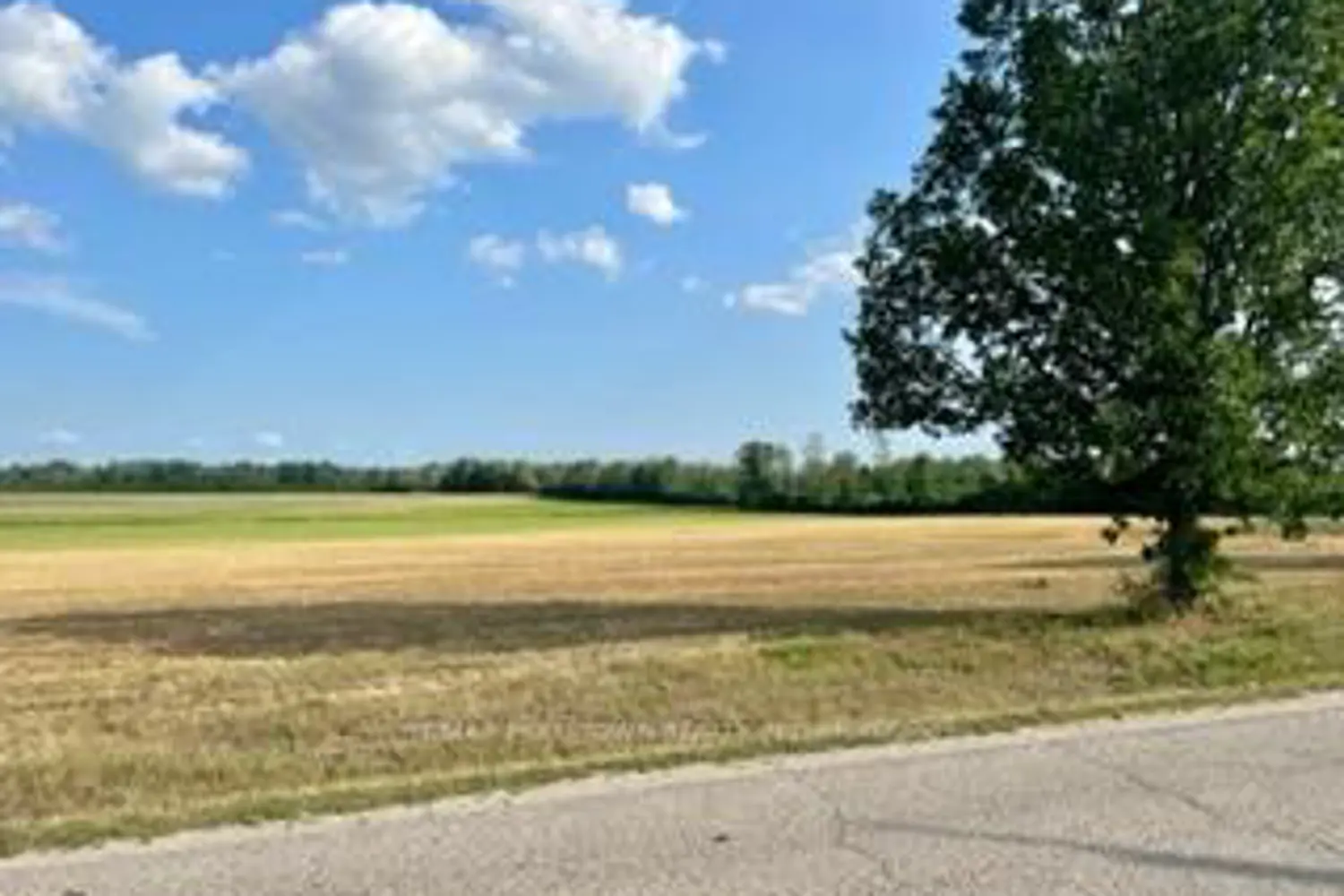 Additional image 2 of 0 Kitley Line 8 Road