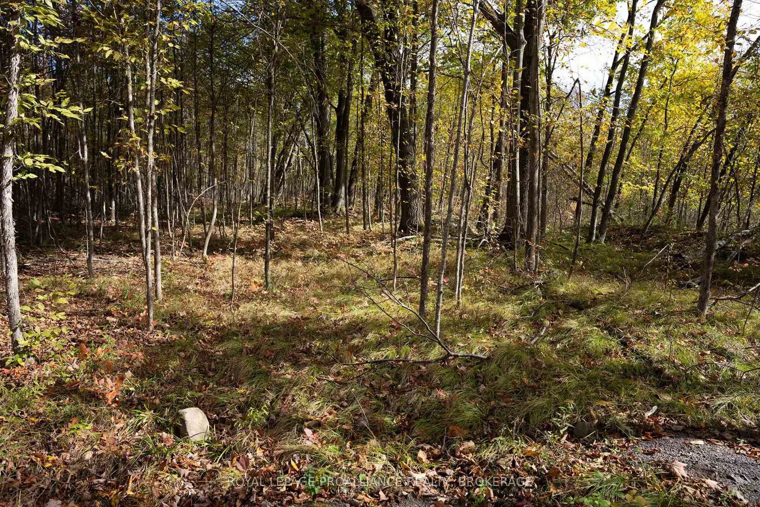 Additional image 7 of Pt Lts 12 & 13 Devil Lake Road
