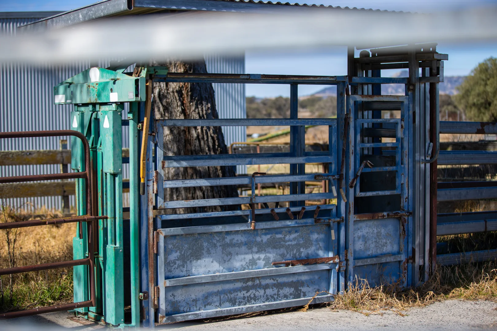 Additional image 15 of 214 Tarban Loop Road, Tenterfield NSW 2372