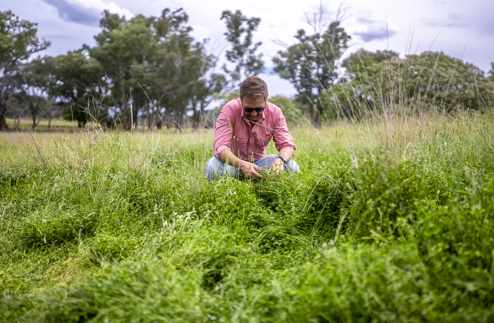 Additional image 9 of The Spring 561 Mountain Valley Road, Neurea NSW 2820