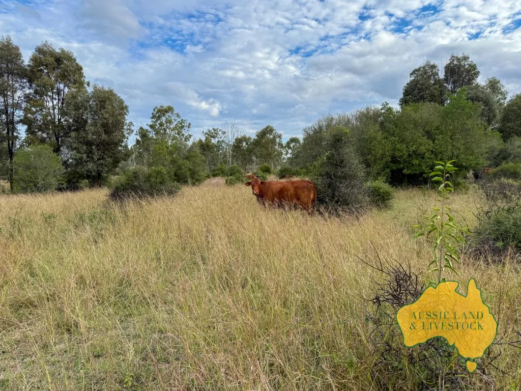 Additional image 54 of 8 SCREENING PLANT ROAD, Cynthia QLD 4627