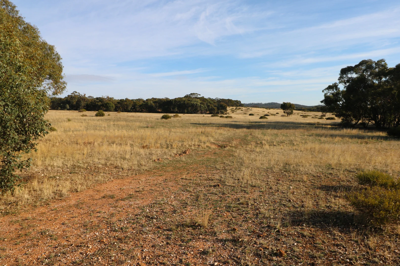 Additional image 23 of 84A Woolshed Flat Road, Wychitella VIC 3525