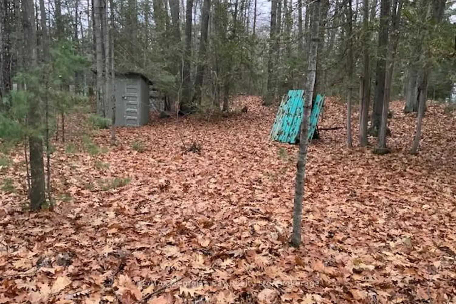 Additional image 2 of 46 Oakwood Avenue