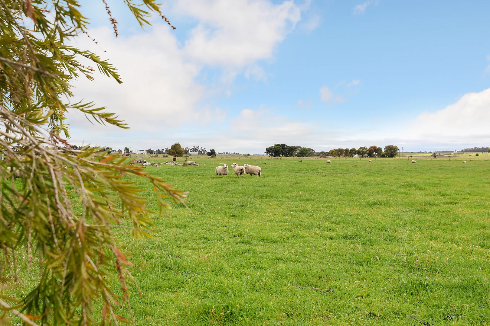 Additional image 21 of 1026 Hamilton Highway, Derrinallum VIC 3325