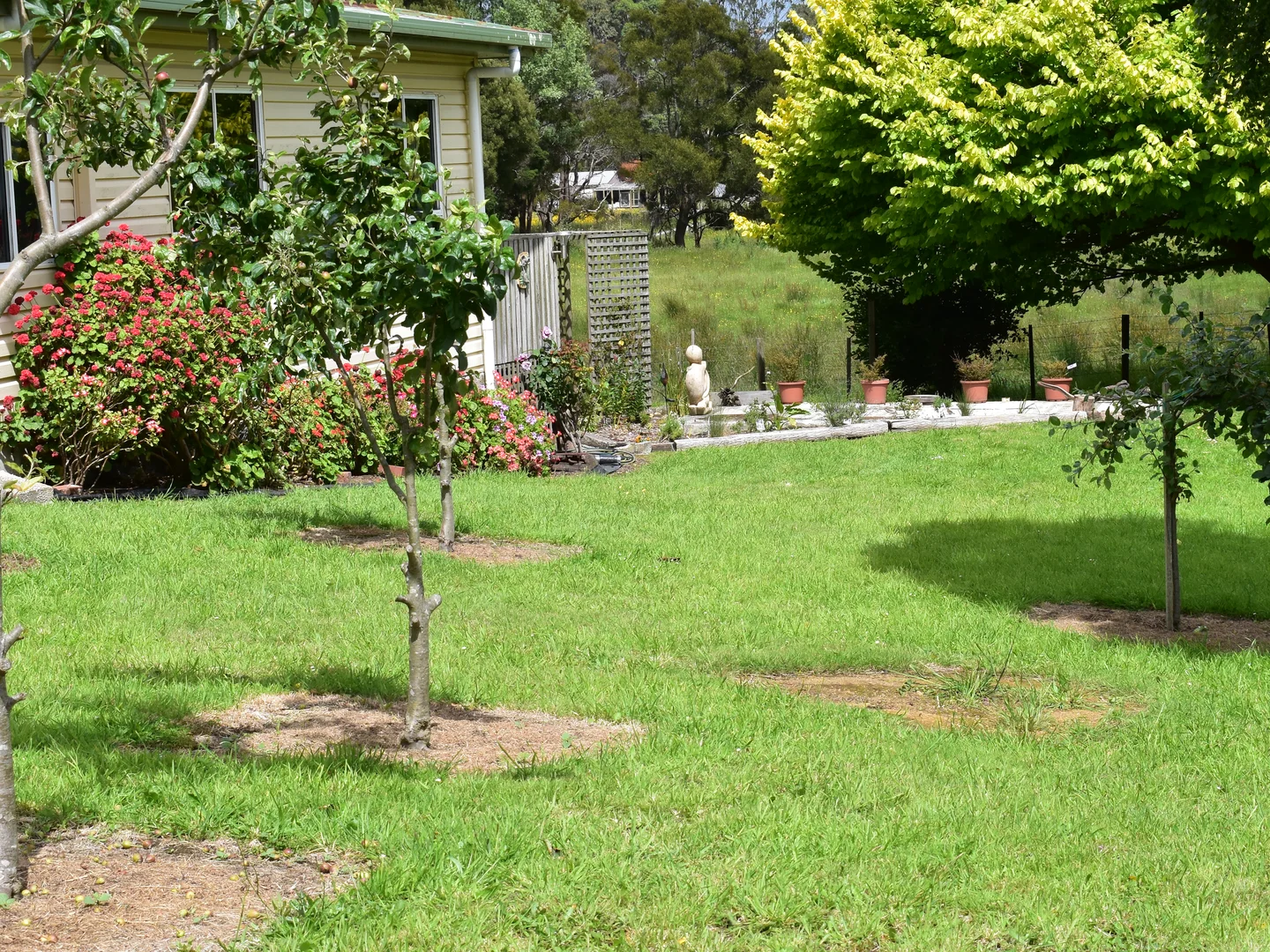 Additional image 19 of 822 Mengha Road, South Forest TAS 7330