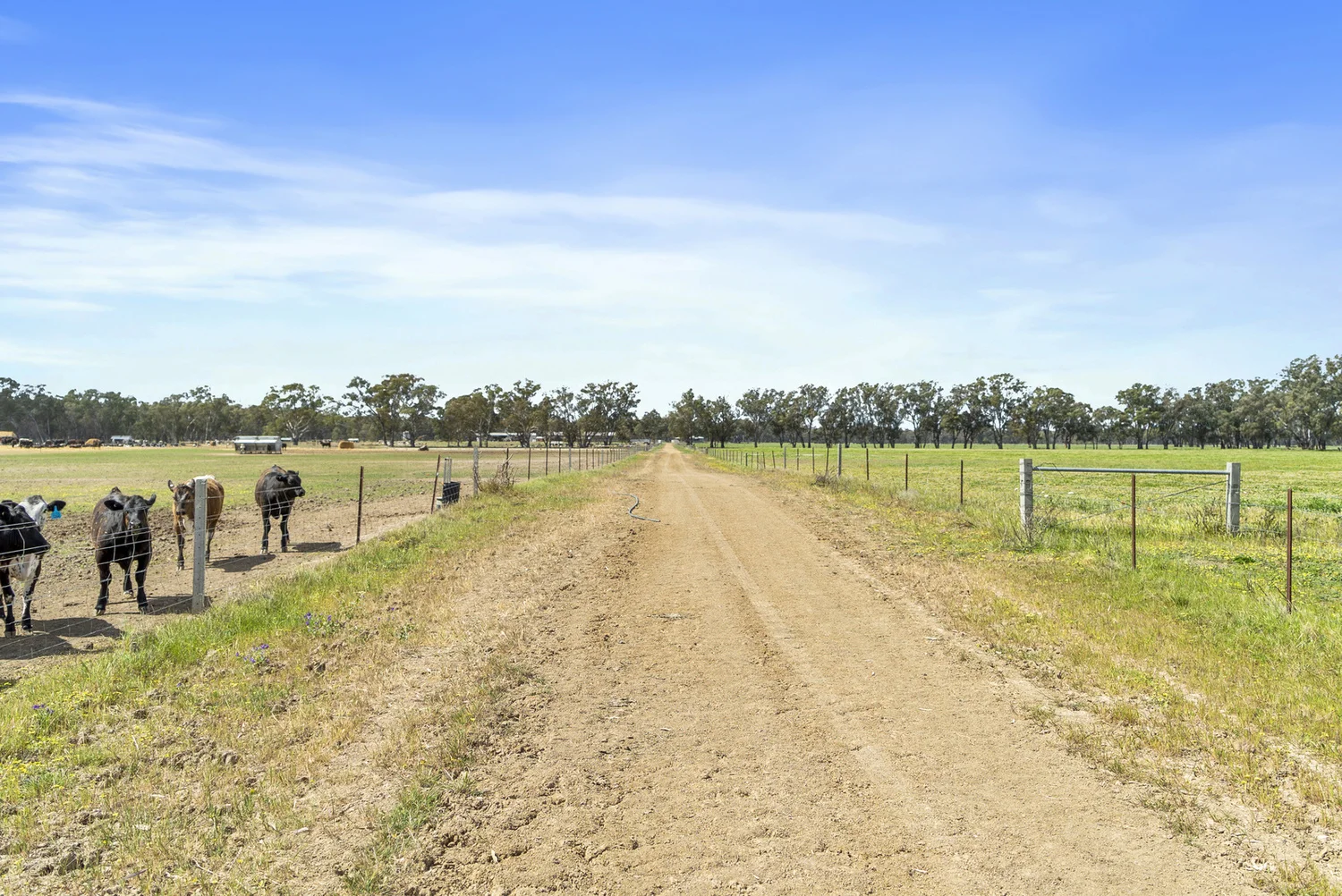Additional image 23 of 1028 Walshs bridge south Road, Kaarimba VIC 3635