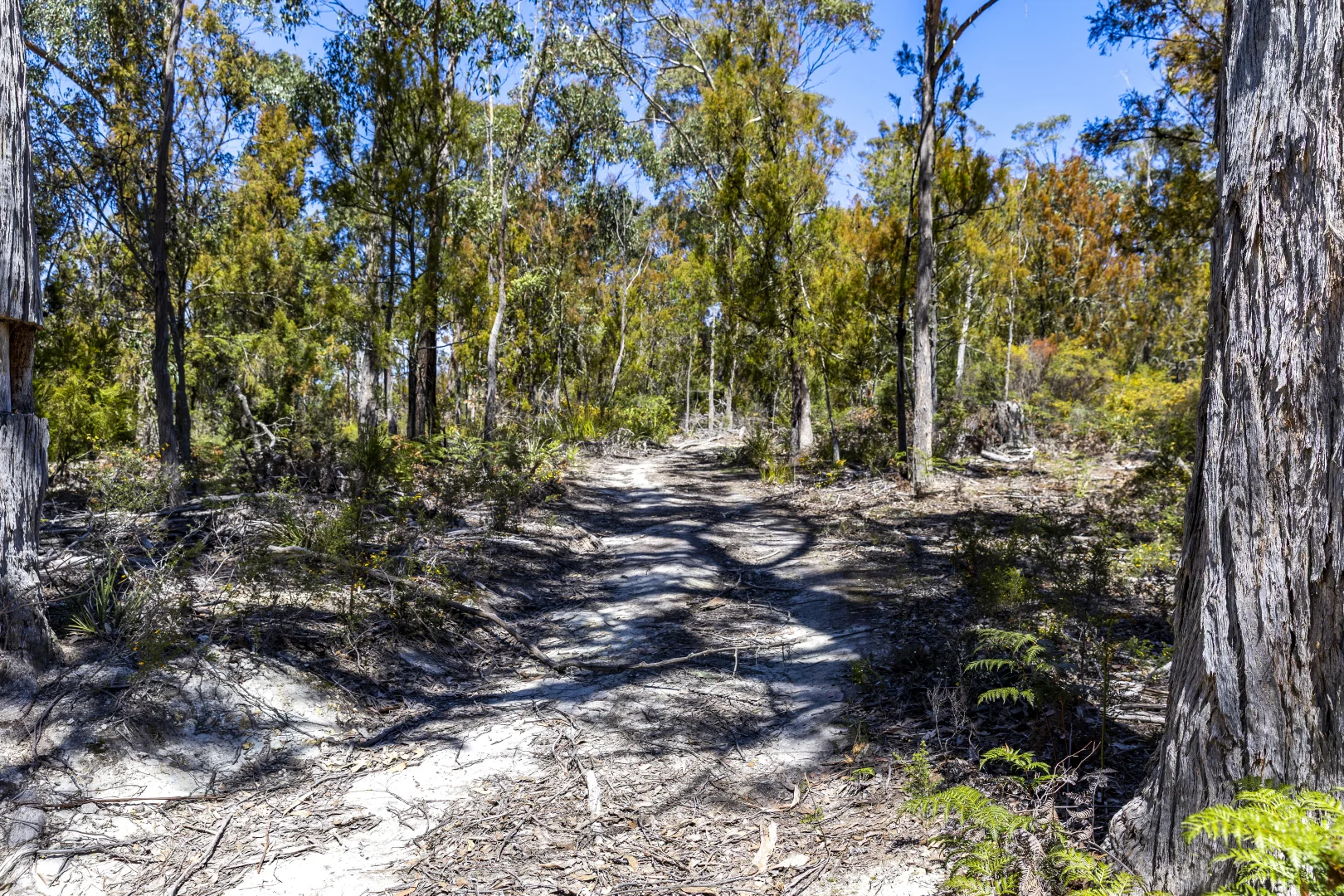 Additional image 12 of Lot 5 Harveys Hill Close, Deep Bay TAS 7112