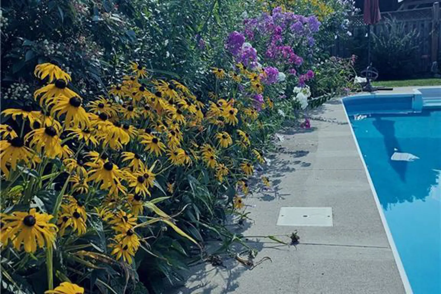 Additional image 19 of 25 Winter Way