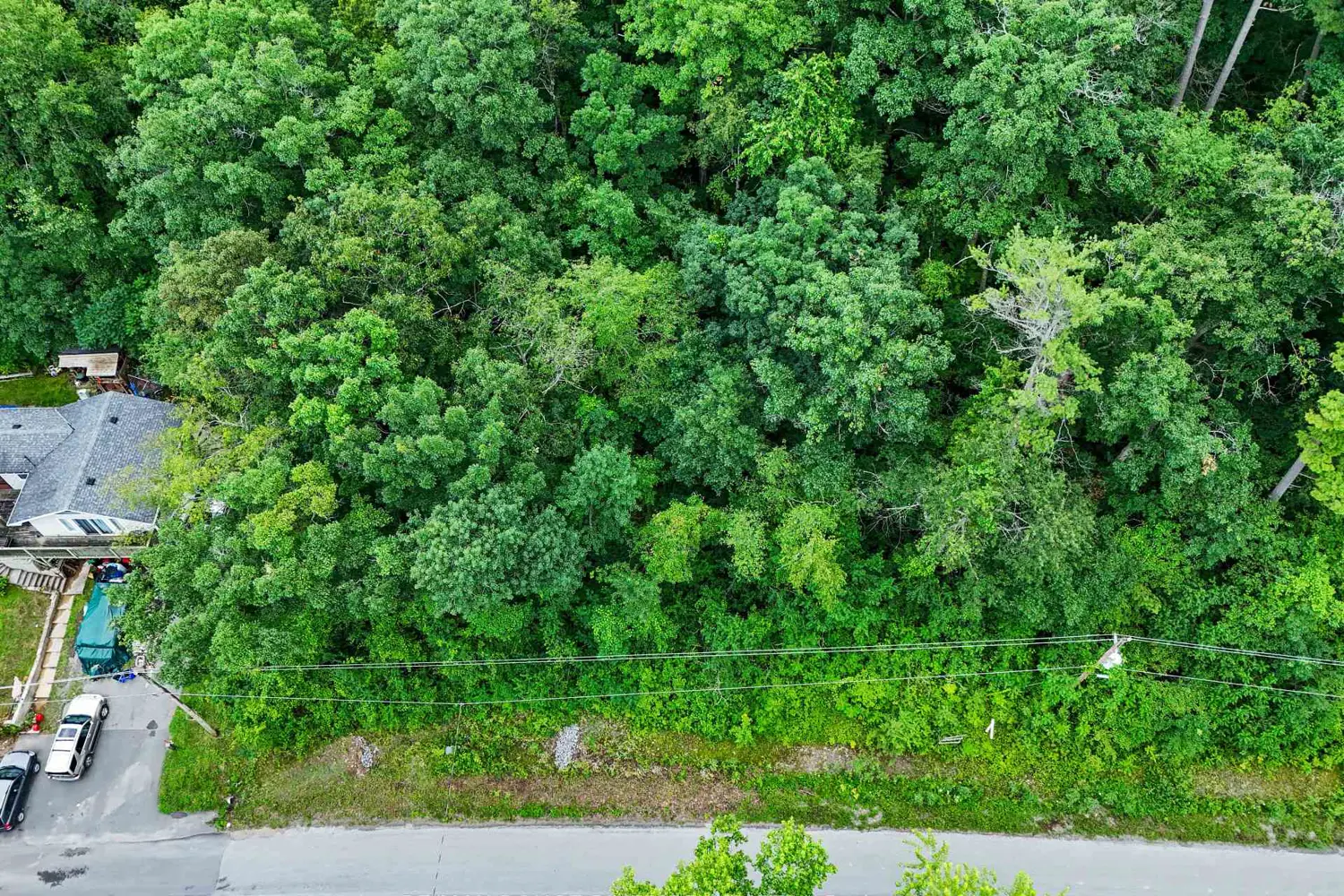 Additional image 11 of 28 Bamsey Drive