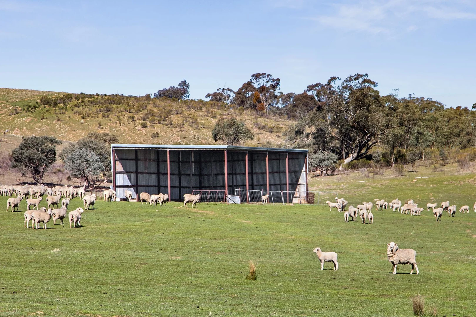 Additional image 13 of "Cairn Hill" Cnr Patons & Doles Road, Kimbolton VIC 3551