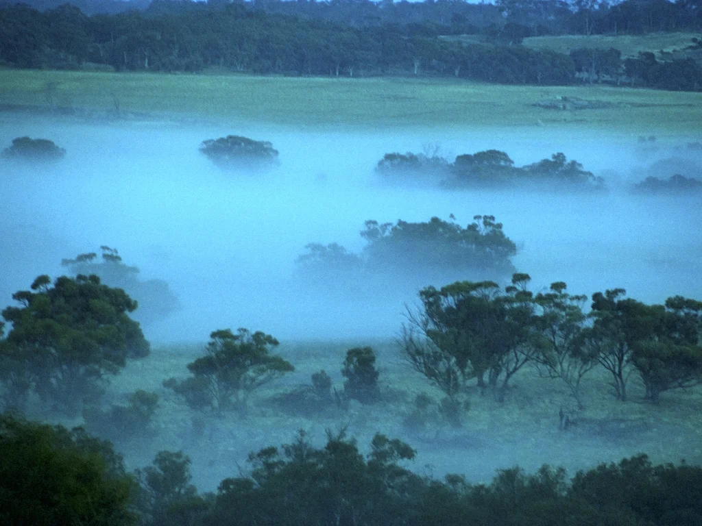 Additional image 3 of Lot 12 Young Road, Gwambygine WA 6302