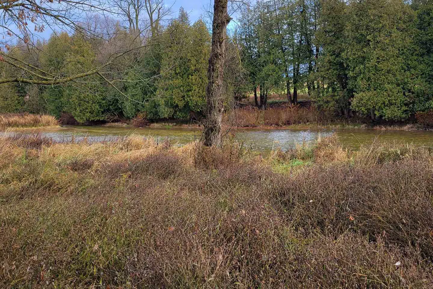 Additional image 13 of Lot 37 Con 2 Ndr