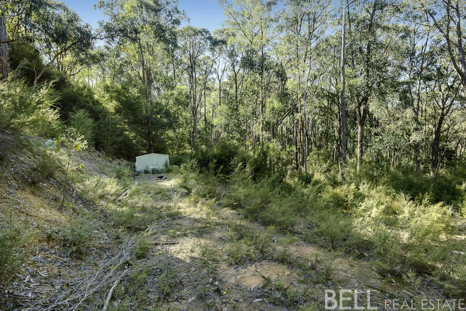 Additional image 14 of 12 Cornelius Crescent, Healesville VIC 3777