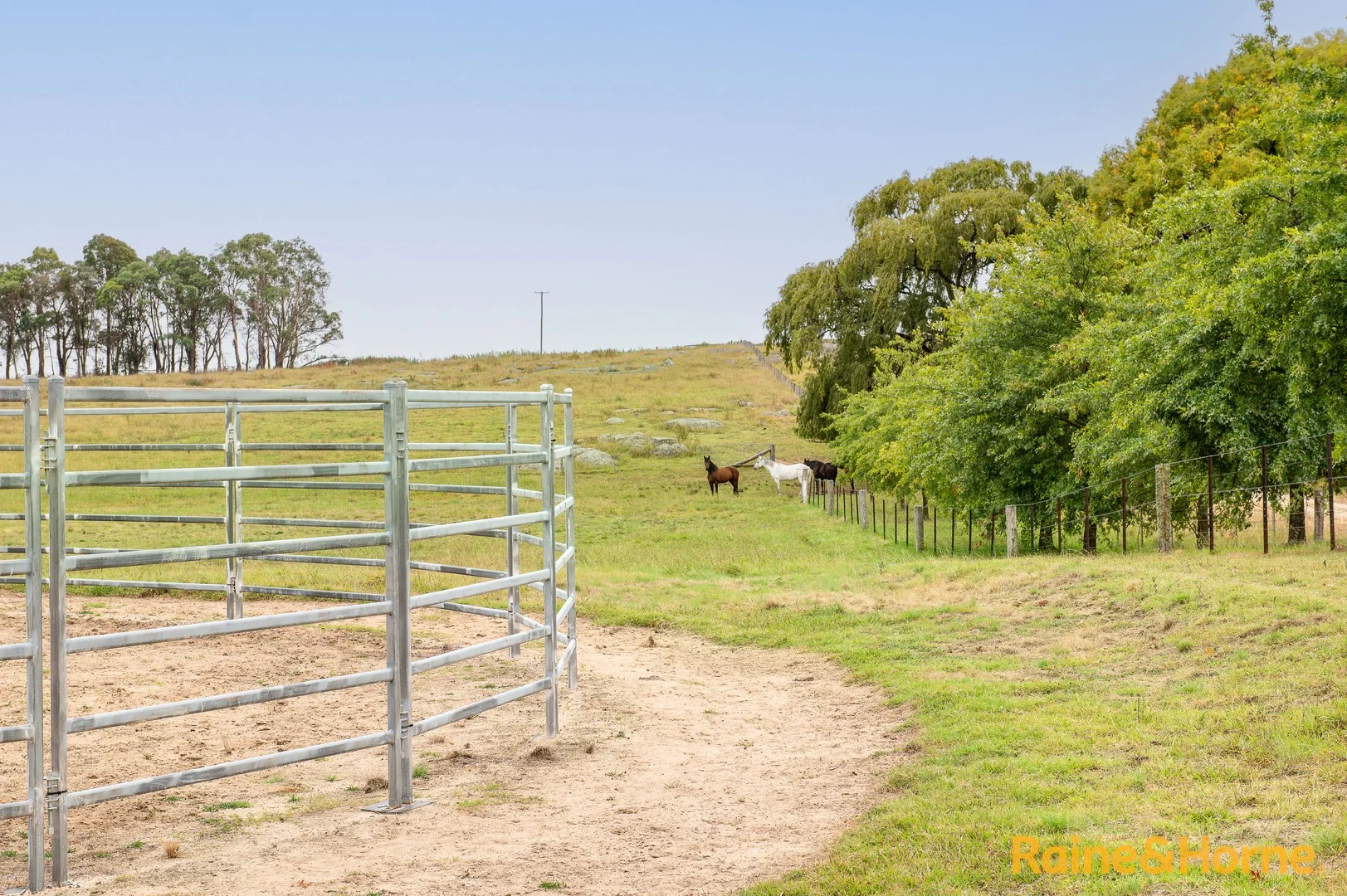 Additional image 20 of 172 Hazelwood Road, Stonehenge NSW 2370