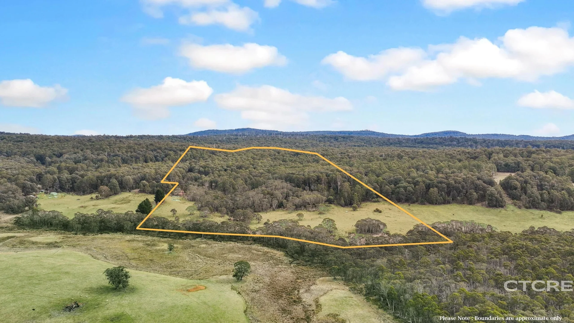 Additional image 18 of 1695 Bendoc-Orbost Road, Bendoc VIC 3888