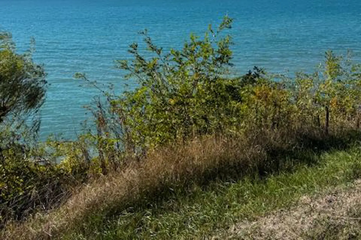 Additional image 6 of 72163 Lakeshore Drive