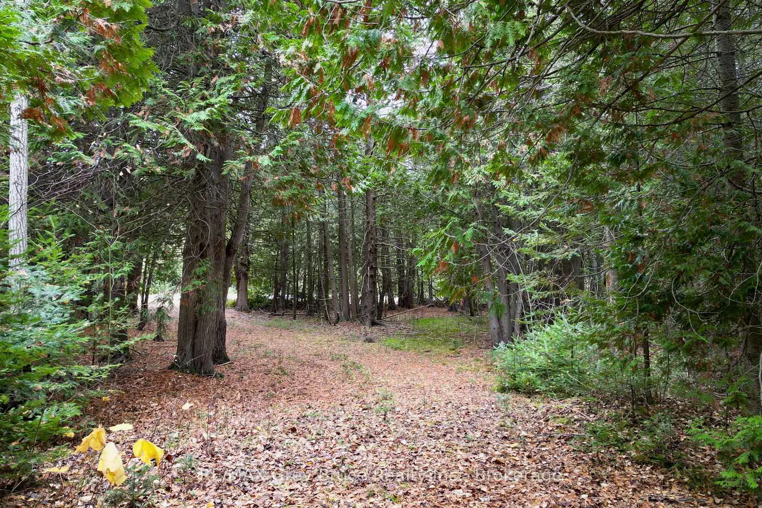 Additional image 16 of 44 Stokes Bay Road