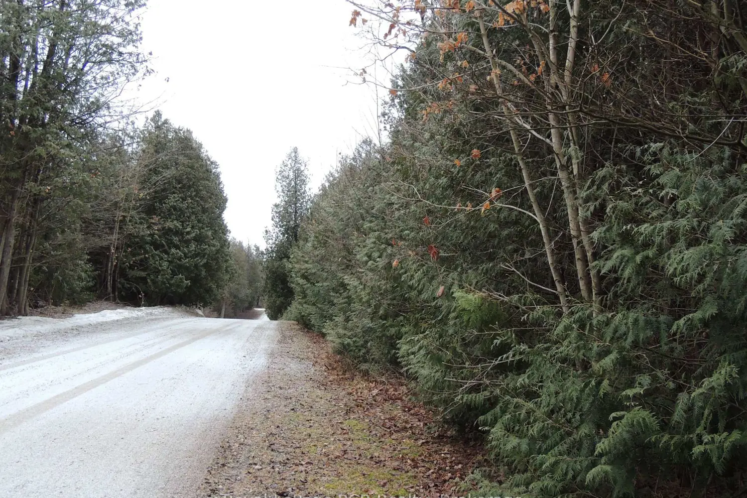 Additional image 2 of Ptlt 48 North Line